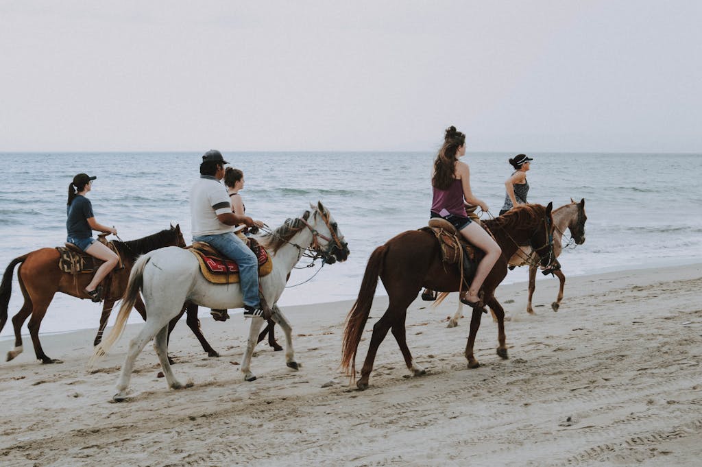 Best Riding Stables in New Jersey