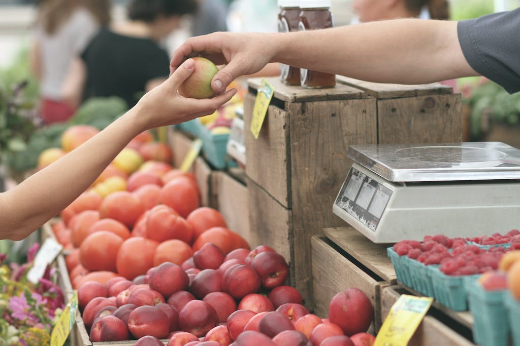 The Ultimate Guide to Farmers Markets in New Jersey
