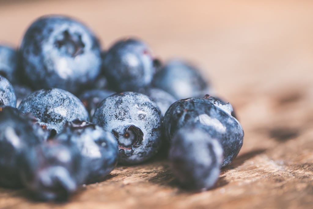 Organic Blueberry Picking in New Jersey