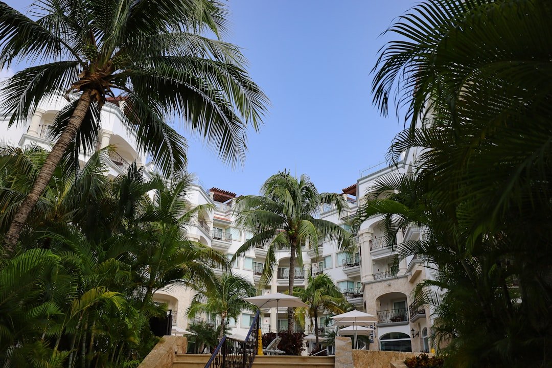 Hotel in Legacy Vacation Resort Brigantine - a building with palm trees
